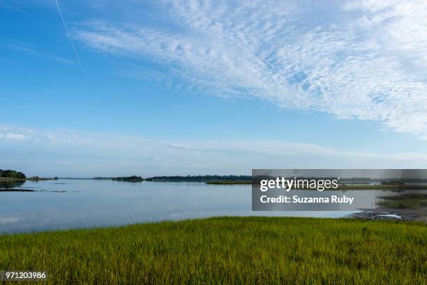Shellmound Cedar Key Cedar Key Photos and Premium High Res Pictures - Getty Images