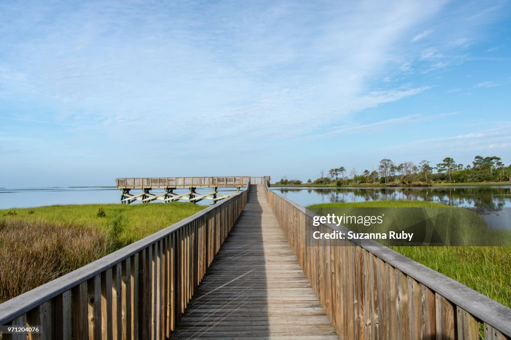 Shellmound Cedar Key Shell Mound Cedar Key Florida High-Res Stock Photo - Getty Images