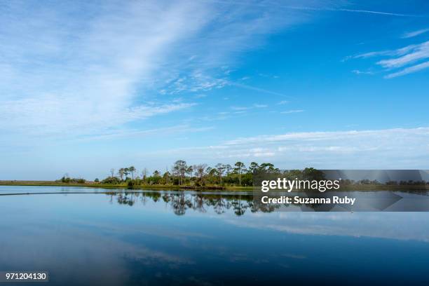 Shellmound Cedar Key Cedar Key Photos and Premium High Res Pictures - Getty Images