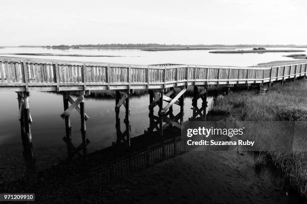 Shellmound Cedar Key Cedar Key Photos and Premium High Res Pictures - Getty Images