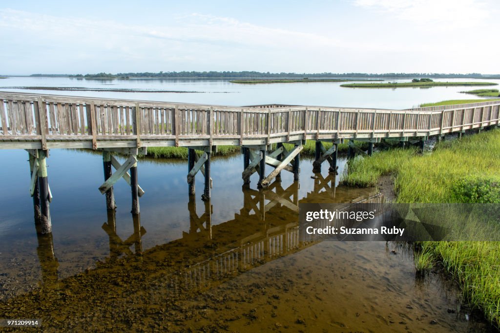 Shellmound Cedar Key Shell Mound Cedar Key Florida High-Res Stock Photo - Getty Images