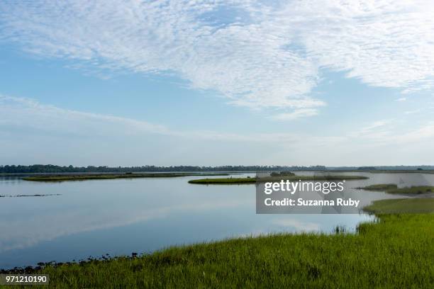 Shellmound Cedar Key Mound Key Photos and Premium High Res Pictures - Getty Images