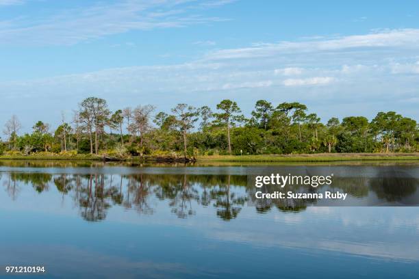 Shellmound Cedar Key Mound Key Photos and Premium High Res Pictures - Getty Images