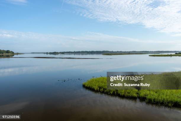 Shellmound Cedar Key Mound Key Photos and Premium High Res Pictures - Getty Images