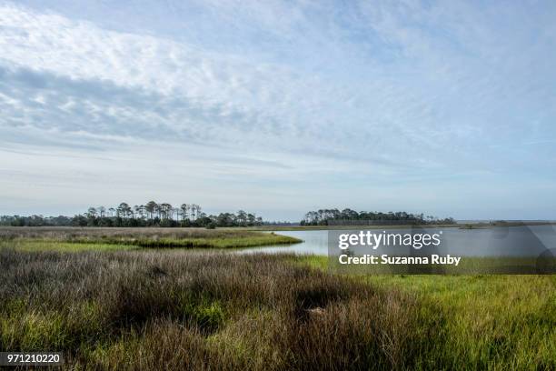 Shellmound Cedar Key Mound Key Photos and Premium High Res Pictures - Getty Images