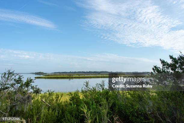Shellmound Cedar Key Mound Key Photos and Premium High Res Pictures - Getty Images