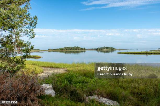 Shellmound Cedar Key Mound Key Photos and Premium High Res Pictures - Getty Images