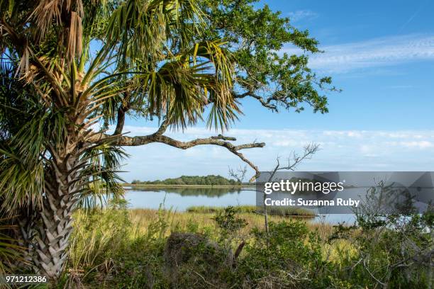 Shellmound Cedar Key Mound Key Photos and Premium High Res Pictures - Getty Images