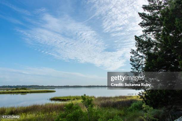 Shellmound Cedar Key Mound Key Photos and Premium High Res Pictures - Getty Images