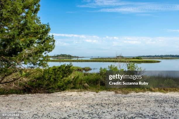 Shellmound Cedar Key 1,003 Mound Key Stock Photos, High-Res Pictures, and Images - Getty Images