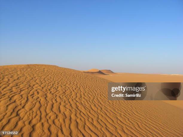 sand dune algeria - in aménas bildbanksfoton och bilder