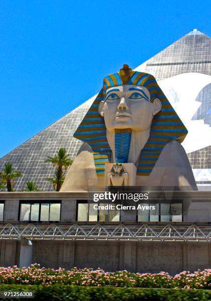 egyptian sphinx on the boulevard at the luxor hotel and casino - las vegas pyramid stock pictures, royalty-free photos & images