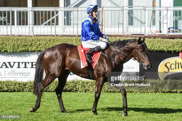 Andrew Mallyon returns to the mounting yard on Al Khabeer after winning the Luke Duhig Memorial Plate at Mornington Racecourse on June 11, 2018 in...