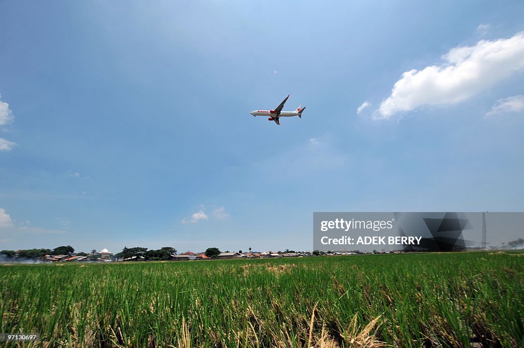 A Lion plane flies over a paddy field in