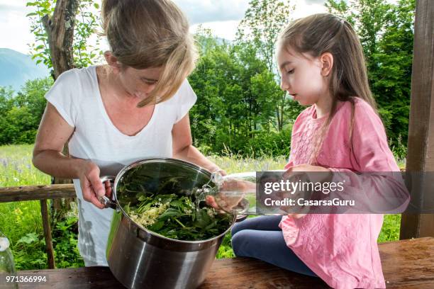 hija madre de ayudar a preparar la flor de saúco y jarabe de menta - mint plant family fotografías e imágenes de stock
