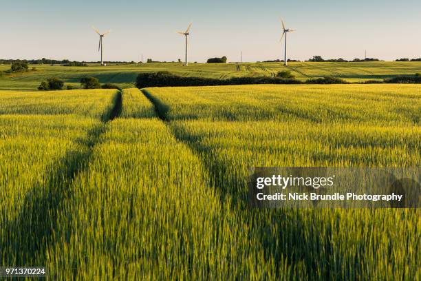 wind power - windmill denmark stock pictures, royalty-free photos & images