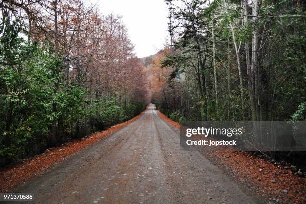 dirt road in autumn at san martin de los andes, argentina - argentina dirt road panorama stock pictures, royalty-free photos & images