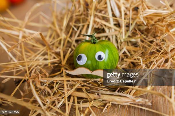 légumes - face de légume - légume stock pictures, royalty-free photos & images