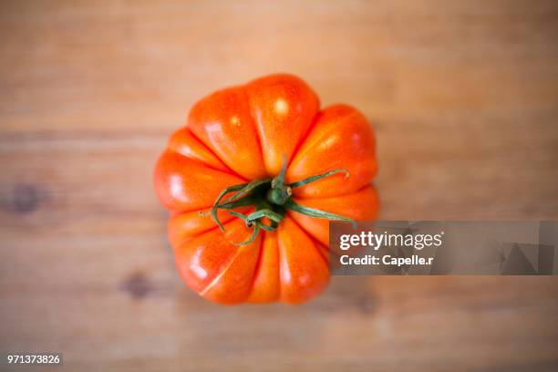 légume - tomate coeur de boeuf - boeuf stock pictures, royalty-free photos & images