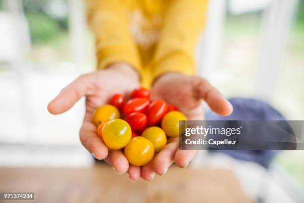 légume - tomates cerise - cerise stockfoto's en -beelden