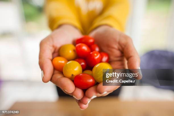 légume - tomates cerise - cerise stockfoto's en -beelden