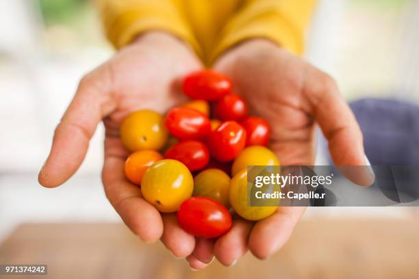 légume - tomates cerise - cerise stockfoto's en -beelden