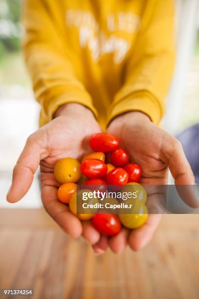 légume - tomates cerise - cerise stockfoto's en -beelden