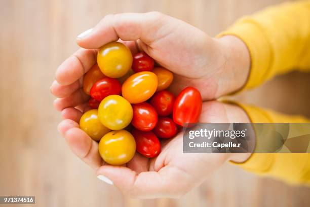 légume - tomates cerise - cerise stockfoto's en -beelden