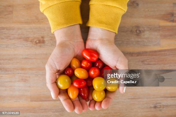 légume - tomates cerise - cerise stockfoto's en -beelden
