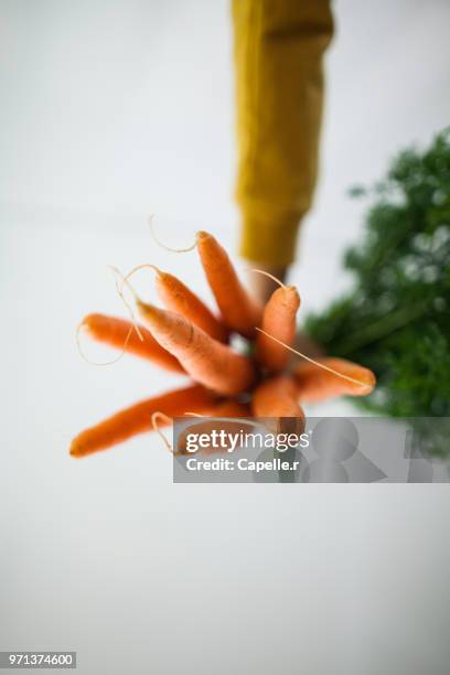 légume - carotte - carotte stock-fotos und bilder