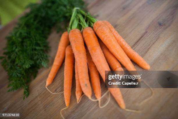 légume - carotte - carotte fotografías e imágenes de stock