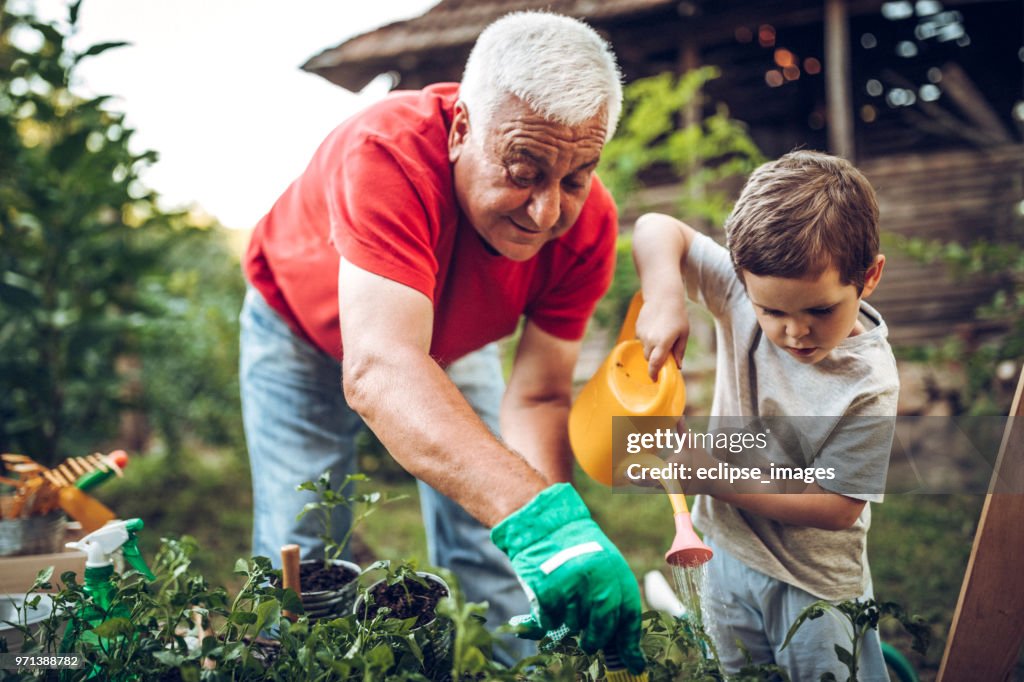 Grandfather and grandson in garden