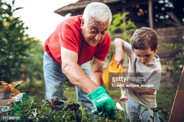 grandfather and grandson in garden - assistance stock pictures, royalty-free photos & images