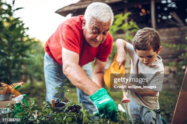 grandfather and grandson in garden - lawn imagens e fotografias de stock