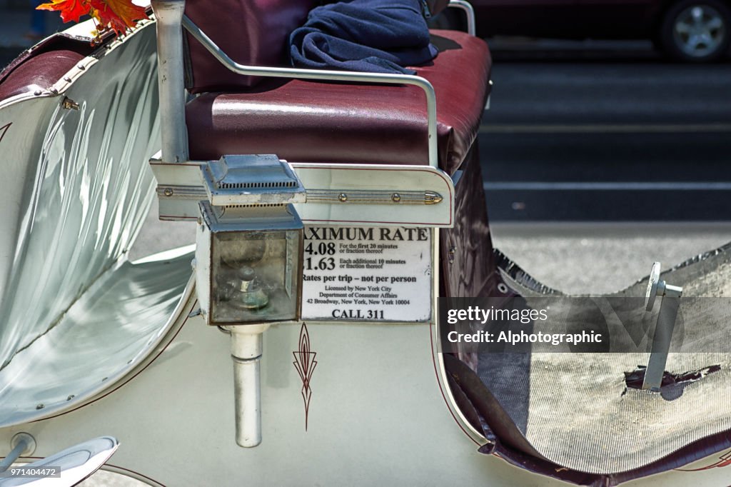 New York Horse and Carriage licence