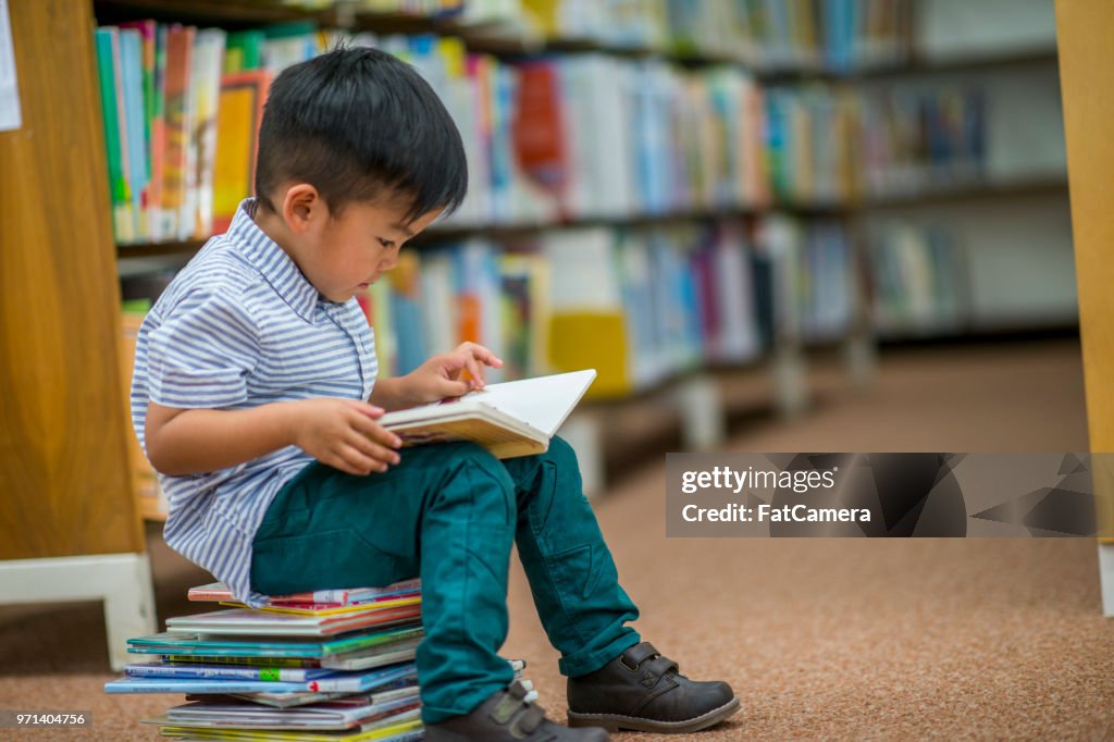 Boy Who Loves Reading