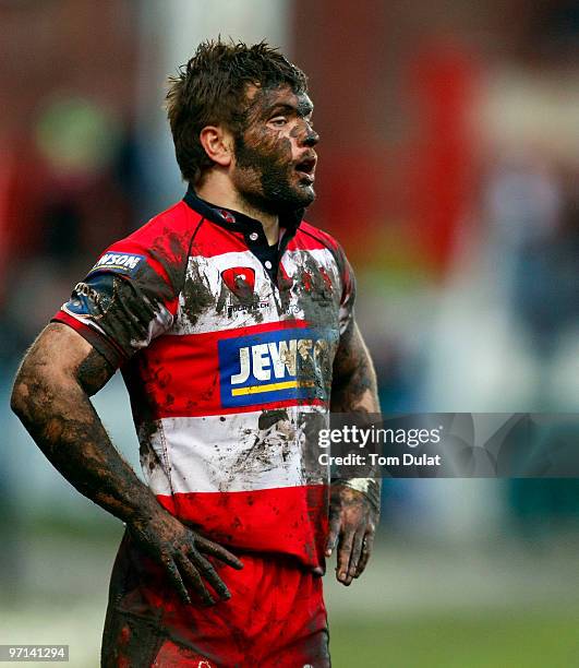 Dave Lewis of Gloucester during the Guinness Premiership match between Gloucester and Sale Sharks at Kingsholm on February 27, 2010 in Gloucester,...