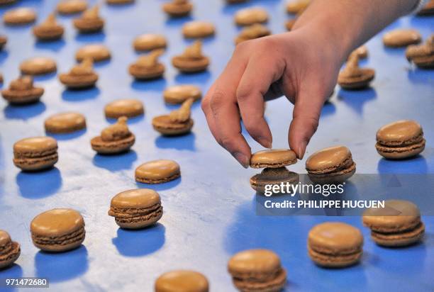Macaron Factory 428 Industrie Alimentaire Stock Photos, High-Res Pictures, and Images ...