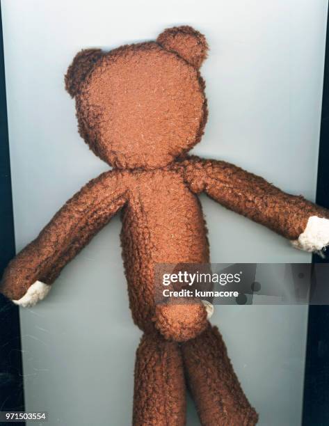 put teddy bear between flatbed photocopier ,back view - kumacore stock pictures, royalty-free photos & images