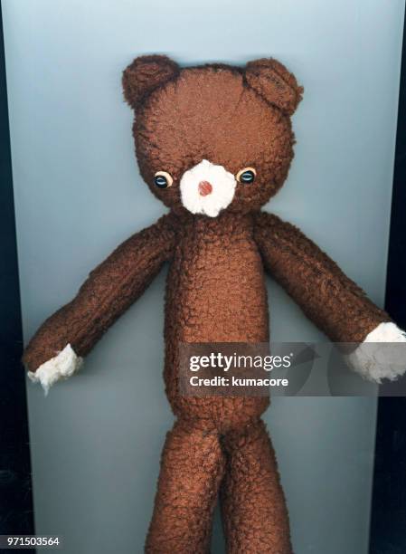 put teddy bear between photocopier - kumacore imagens e fotografias de stock