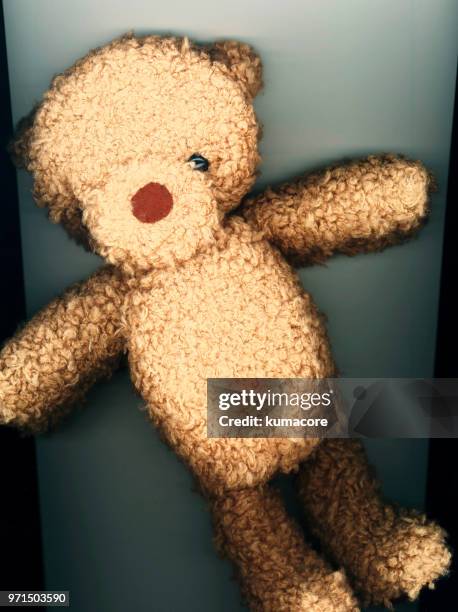 put teddy bear between photocopier - kumacore imagens e fotografias de stock