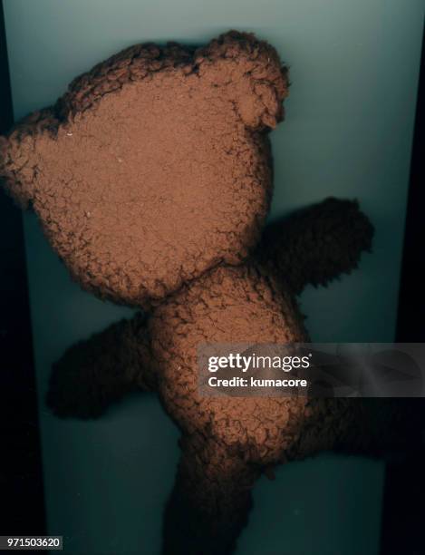 put teddy bear between photocopier,back view - kumacore stock pictures, royalty-free photos & images