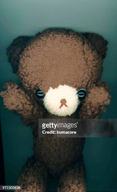 put teddy bear between photocopier - kumacore stock pictures, royalty-free photos & images