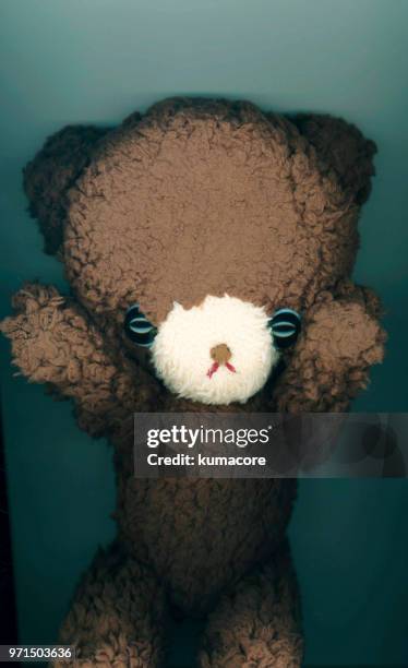 put teddy bear between photocopier - kumacore imagens e fotografias de stock