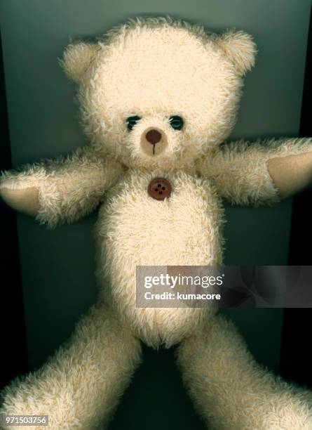 put teddy bear between photocopier - kumacore stock pictures, royalty-free photos & images