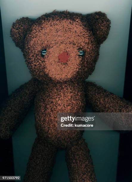 put teddy bear between photocopier - kumacore stock pictures, royalty-free photos & images