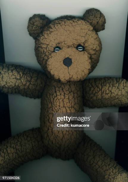 put teddy bear between photocopier - kumacore stock pictures, royalty-free photos & images