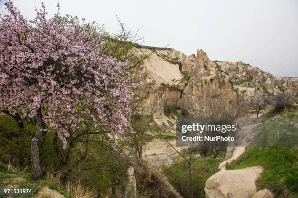 Göreme Open Air Museum in Cappadocia, in Nevsehir province in Central Anatolia, Turkey. It is a monastic complex with very well preserved carved...