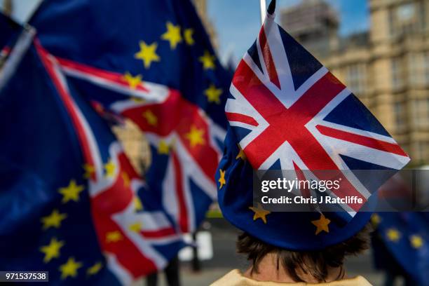 Union Jack flag is seen on top of a woman's EU hat as anti-Brexit demonstrators gather outside the Houses of Parliament on June 11, 2018 in London,...