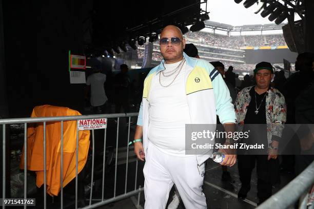 Fat Joe attends Summer Jam 2018 at MetLife Stadium on June 10, 2018 in East Rutherford, New Jersey.